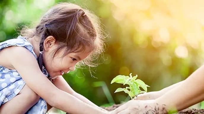 Child with macrodontia putting a plant into dirt
