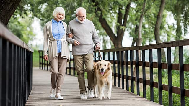 Happy senior couple walking with dog across wooden bridge in park