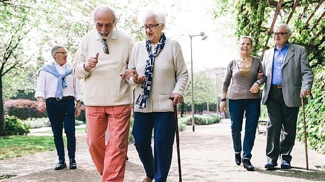 Grupo de adultos mayores caminando en el jardín