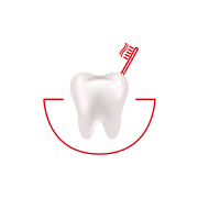 ¿Con qué frecuencia se cepilla los dientes?