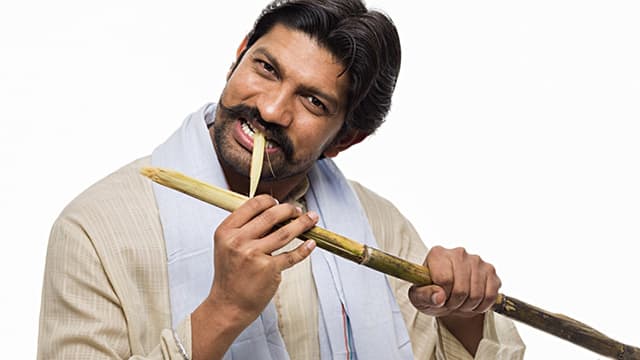 Man peeling a sugar cane with his teeth