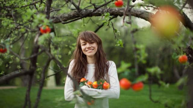 girl collecting apples