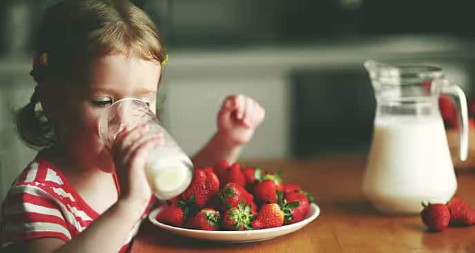 Toddler drinking milk