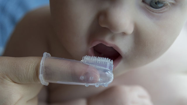 baby getting their teeth brushed