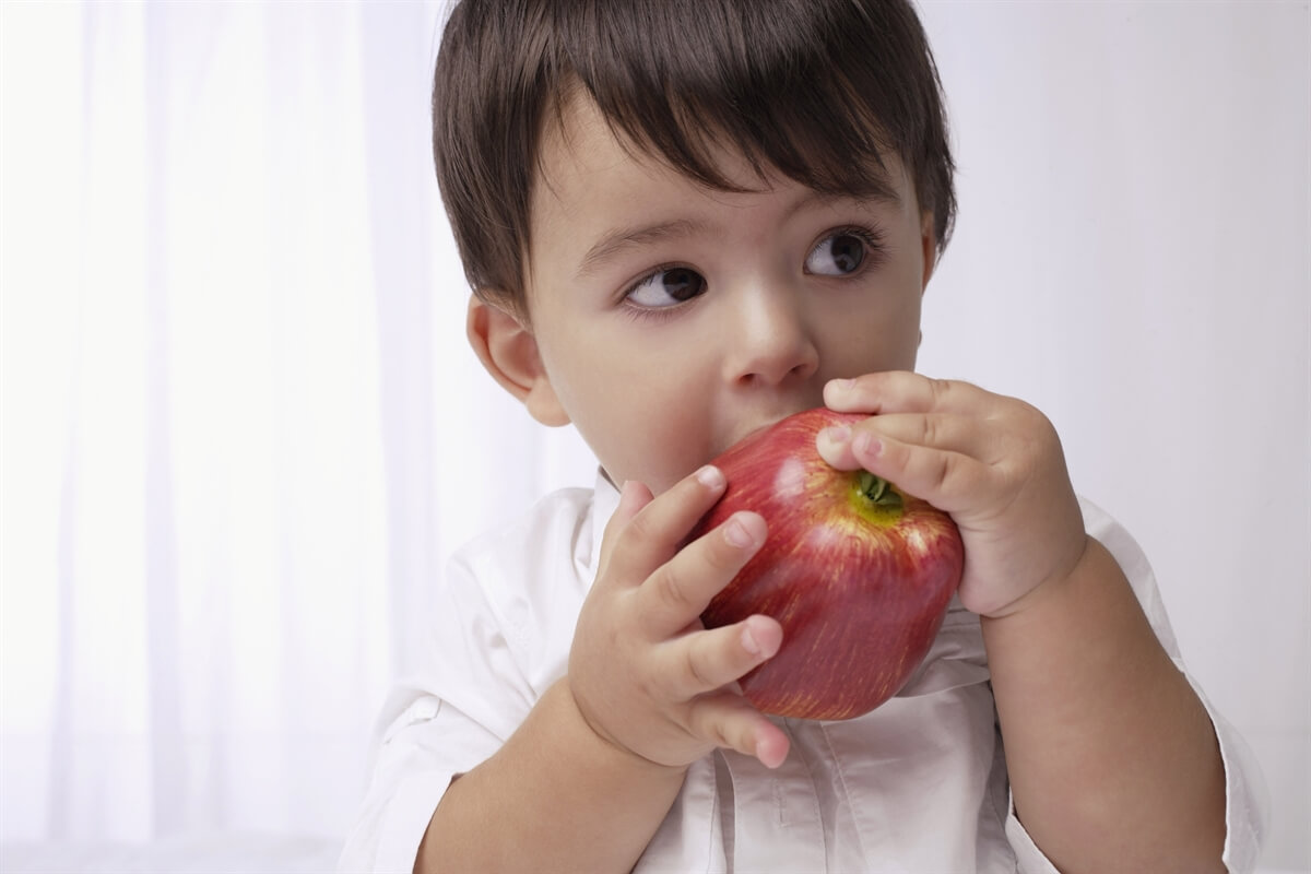 Baby eating an apple that is a great source of nutrition for kids