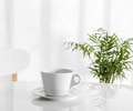 White cup on kitchen table