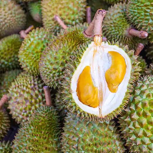 Durian Lingers