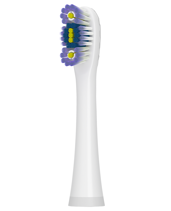 Packshot of Colgate<sup>®</sup> 360 Floss Tip Sonic Powered Battery Toothbrush Refill Pack