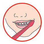 Oral Health Brush 3