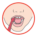Oral Health Brush 5