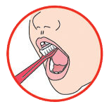 salud bucal - cepillo 6