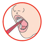 Oral Health Brush 6