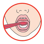 salud bucal - cepillo 7