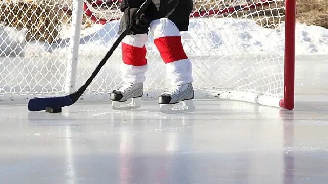 hockey player