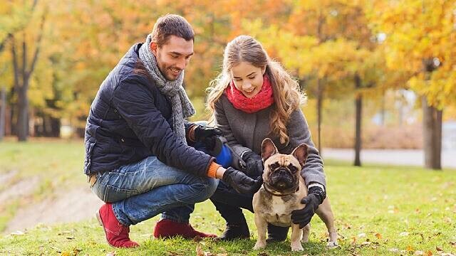 people discussing what to ask dentist during visit