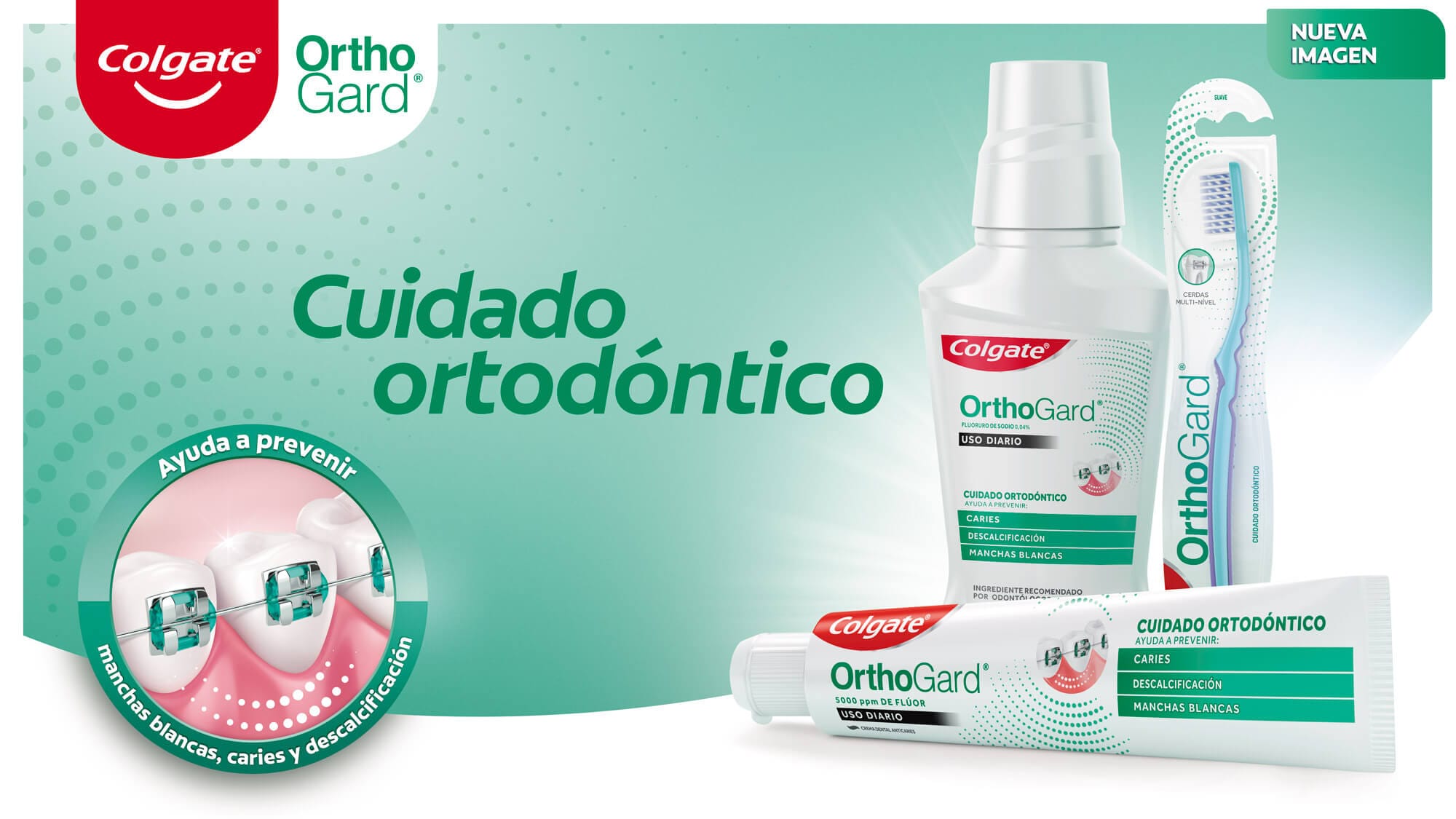 Productos OrthoGard Productos OrthoGard
