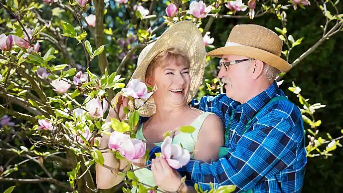 older couple picking flowers