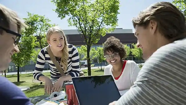 four college students are studying outside on campus