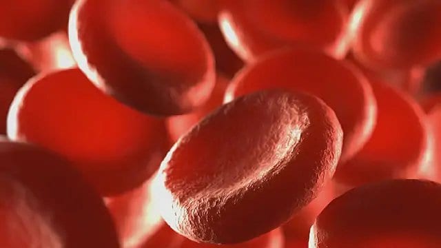 Red Blood cells moving in blood vessels with depth of field