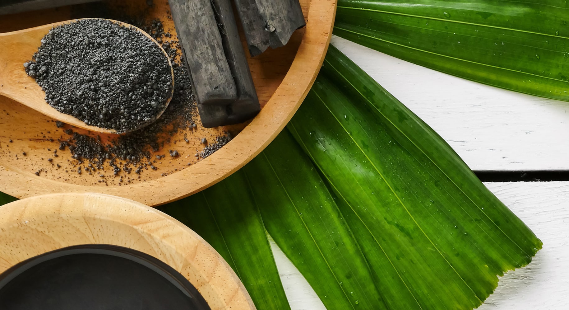 close up of charcoal and plant leaves