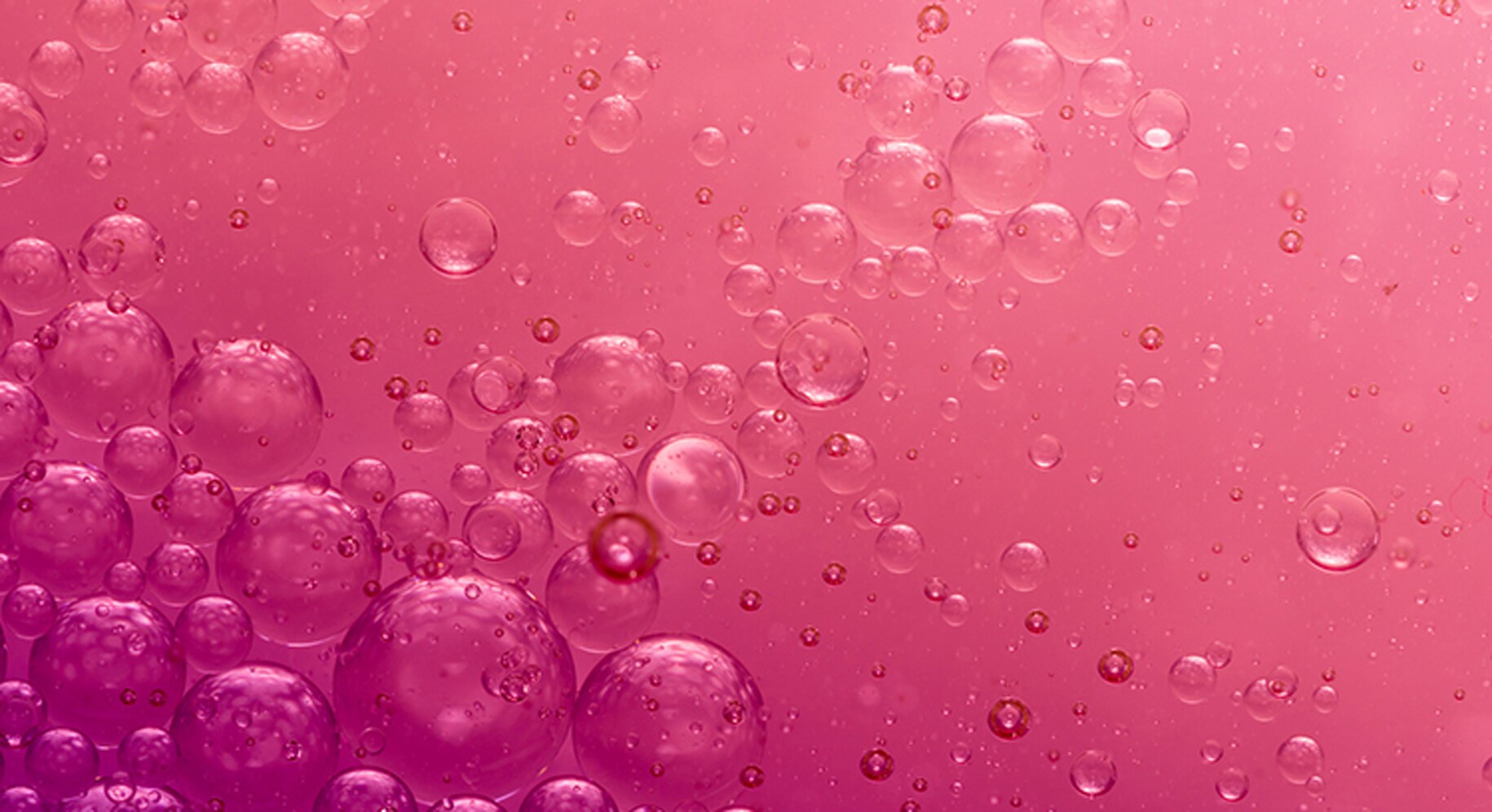 pink bubbles background