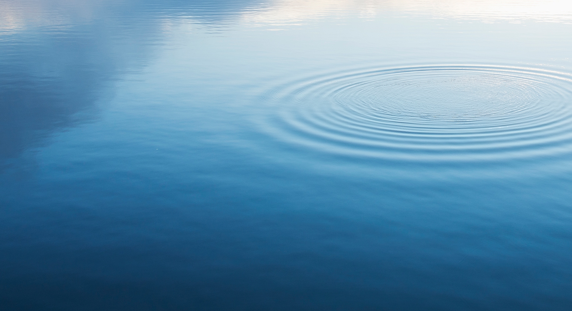 ripples on a body of water