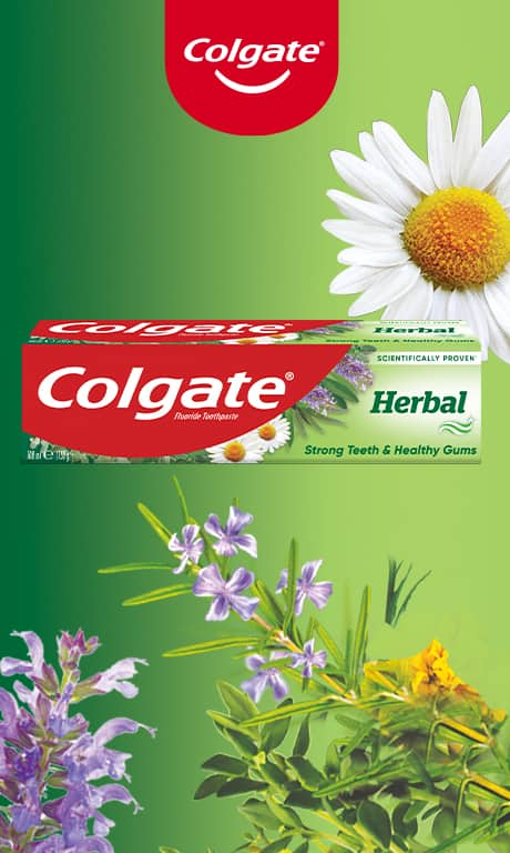 Colgate Herbal regular