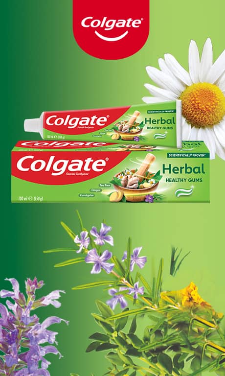 Colgate Herbal regular
