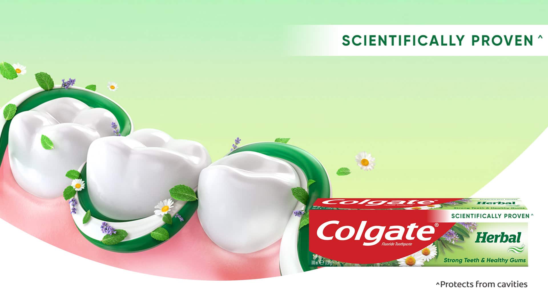 Colgate Herbal Strong Teeth & Healthy Gums