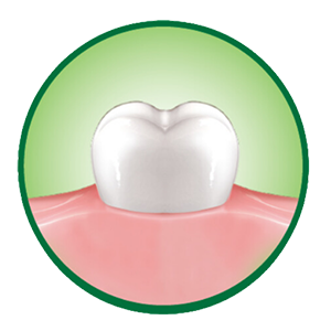 Healthier gums icon