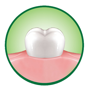 Healthier gums icon Healthier gums icon
