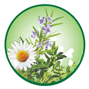 Scientifically proven Herbal formula icon Scientifically proven Herbal formula icon