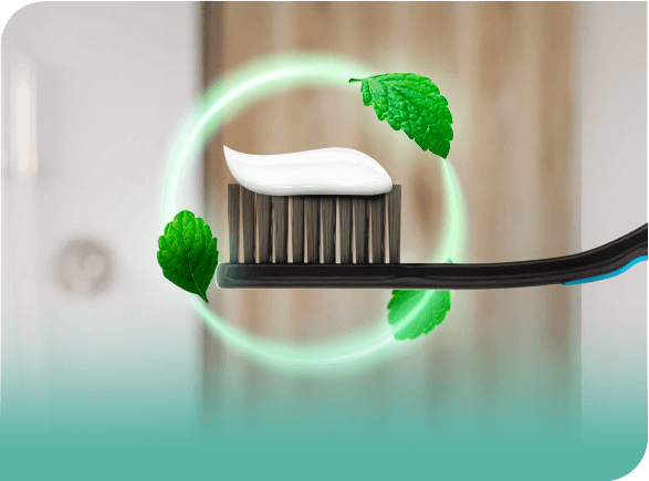 Mint flavor toothpaste