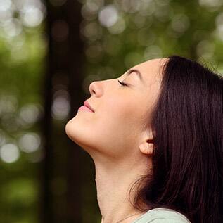 Freshens Breath Freshens Breath