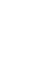 Cheese icon