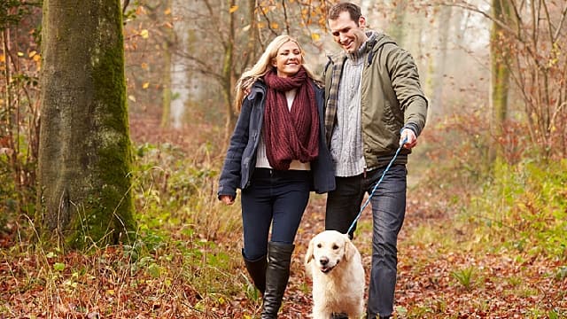 Pareja feliz sacándo a su perro de paseo 