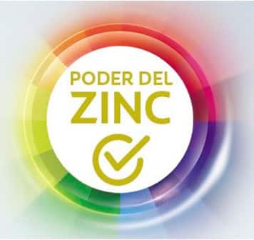 Poder del Zinc Poder del Zinc