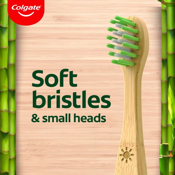 soft bristles
