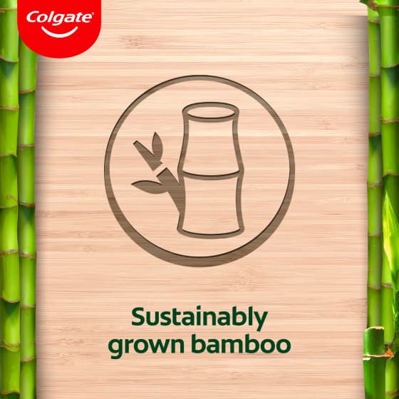 sustainably grown bamboo