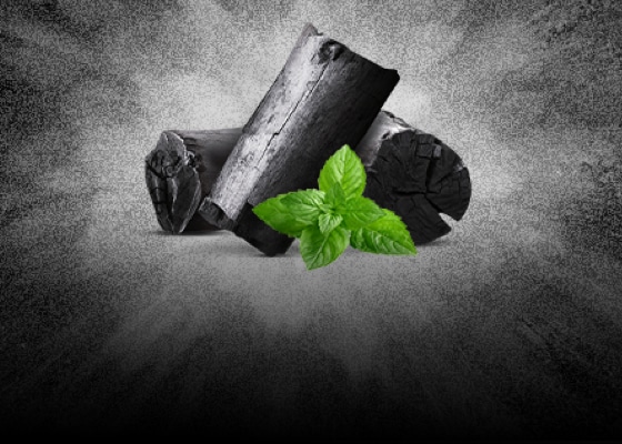 Unique ingredients- Bamboo Charcoal & Wintergreen Mint