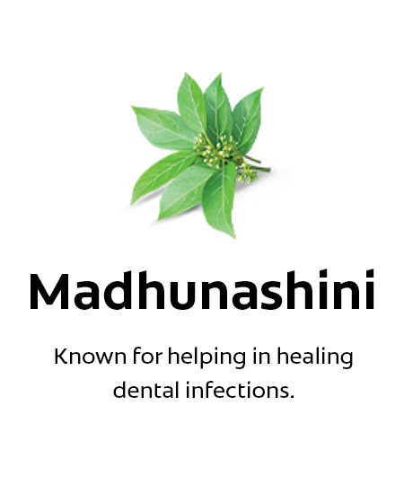 Madhunashini Madhunashini