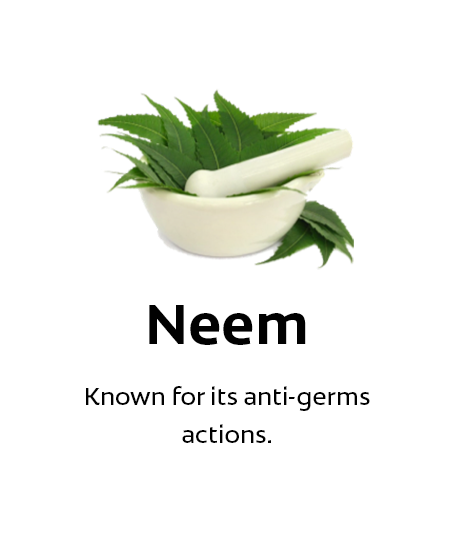 Neem Neem