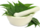 Neem Neem