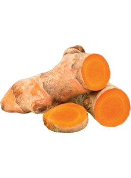 turmeric ingredient