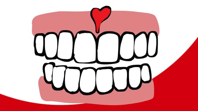gum and teeth