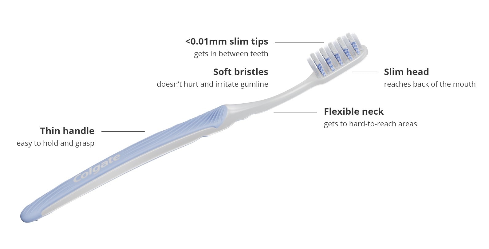 Colgate Slimsoft Dual Action Parts Colgate Slimsoft Dual Action Parts