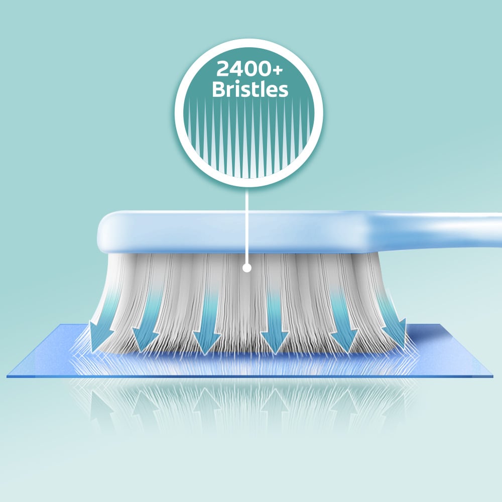 Dense bristles on toothbrush head pushing against a surface