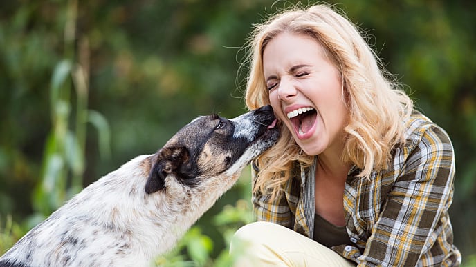 Perro lamiendo la cara de una mujer