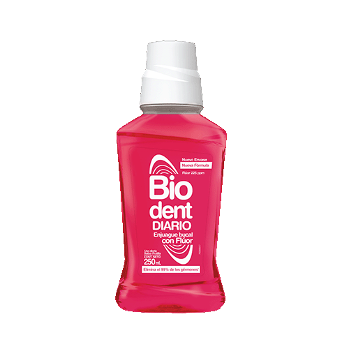 Biodent strawberry
