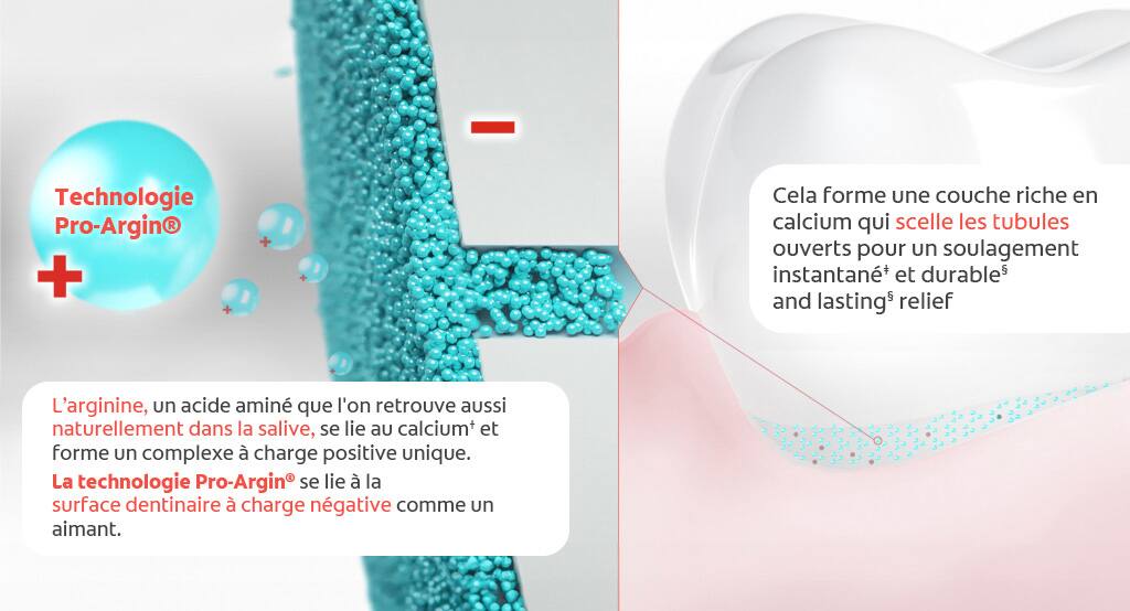 La technologie Pro-Argin® bouche les tubules afin de fournir un soulagement3 supérieur